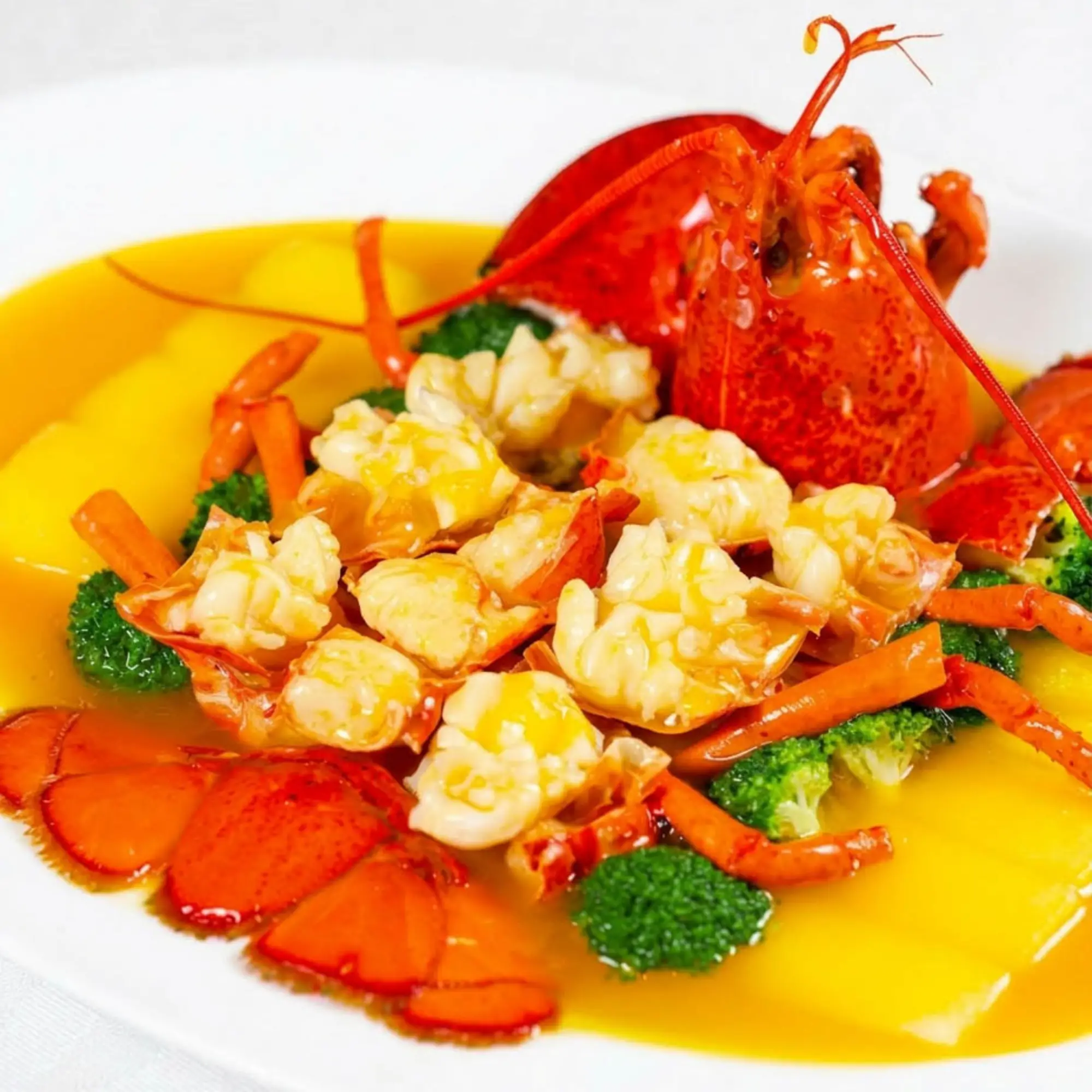 Menu Highlight 1